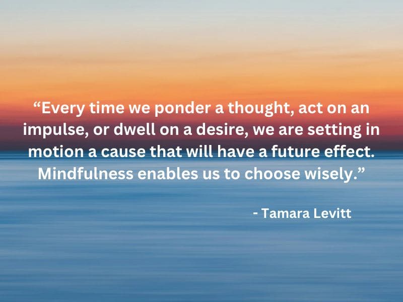 cultivating mindfulness and self-compassion quote by Tamara Levitt